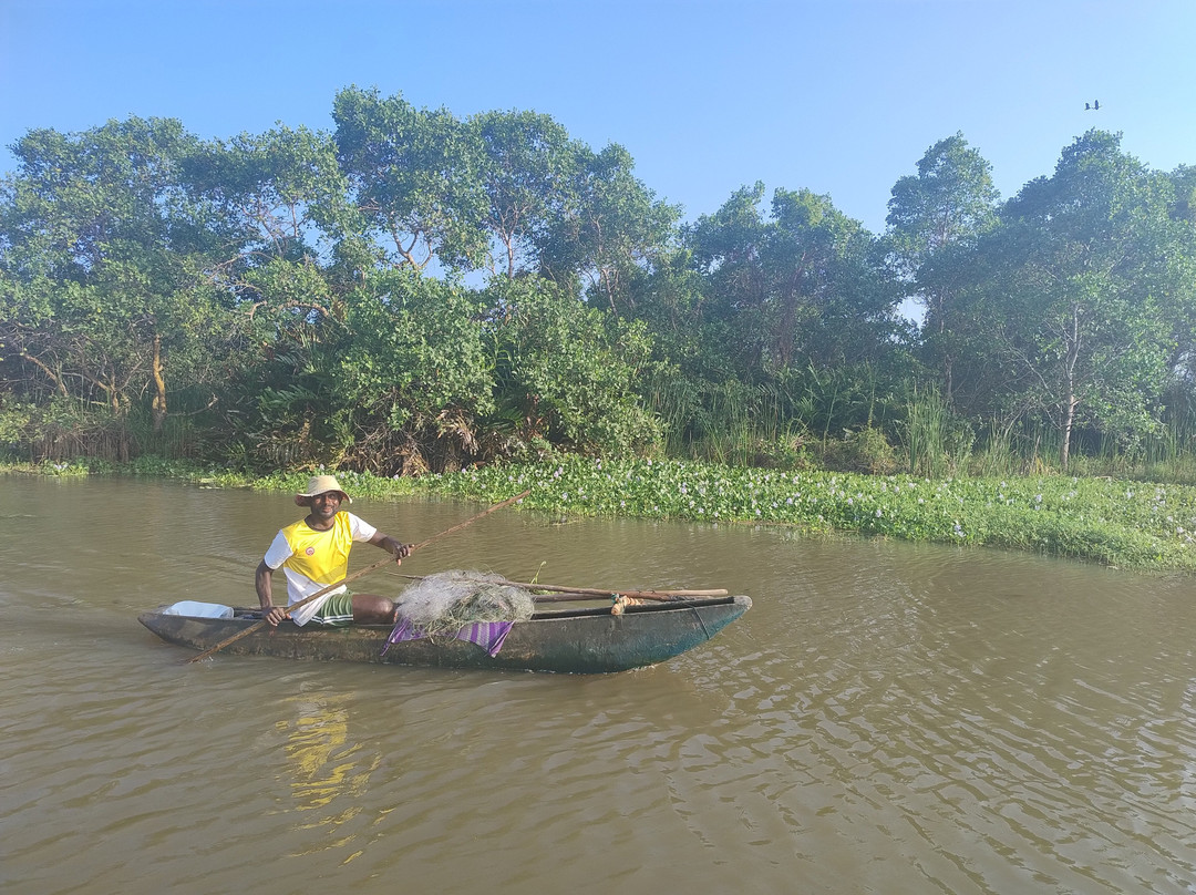 Kalametiya Lagoon Bird Sanctuary & Wetland Park景点图片