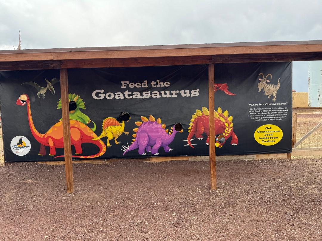 Raptor Ranch-威廉姆斯必去景点