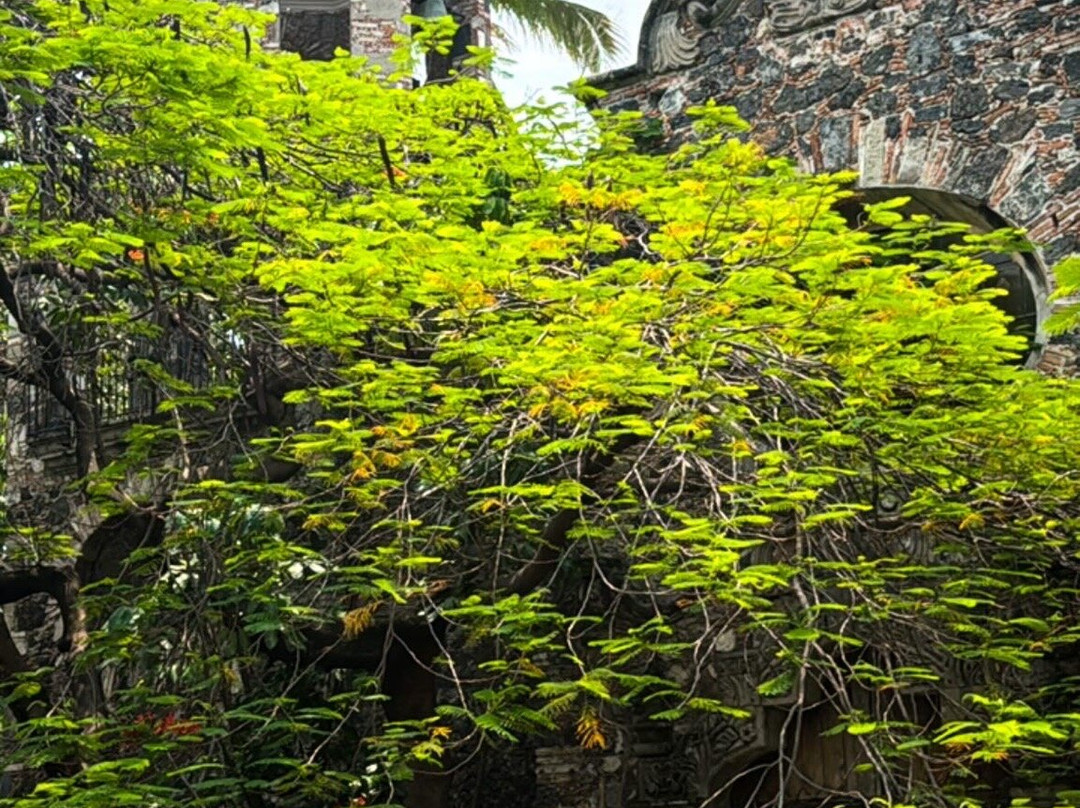 Hacienda Acamilpa主图