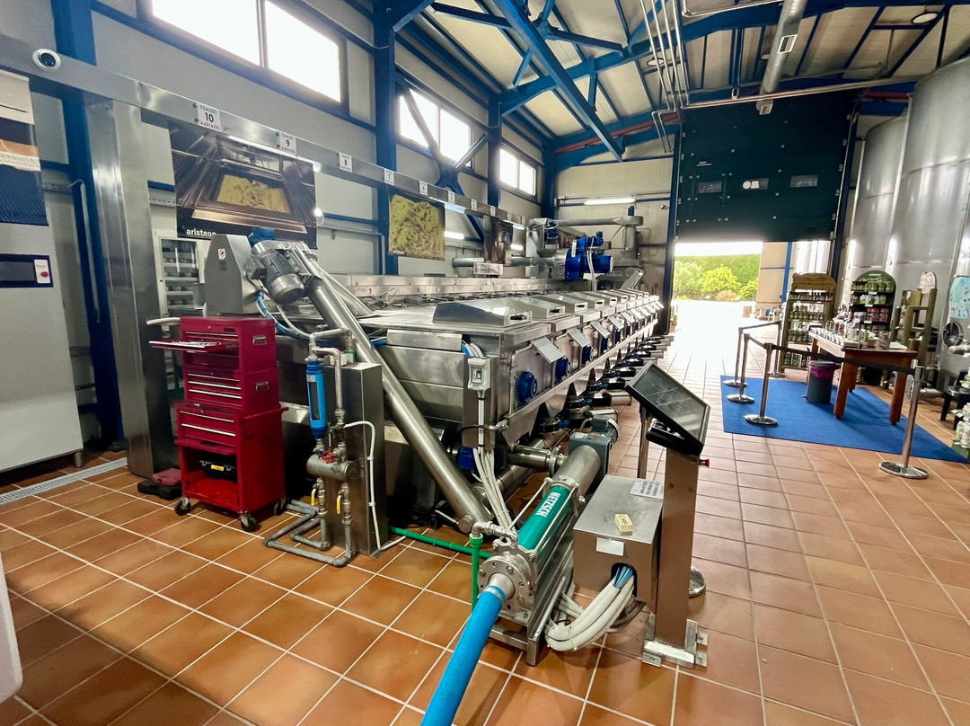 Aristeon Ecological Olive Press景点图片