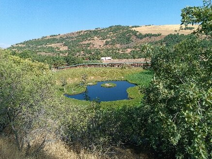 Yuzen Ada-Bingol必去景点