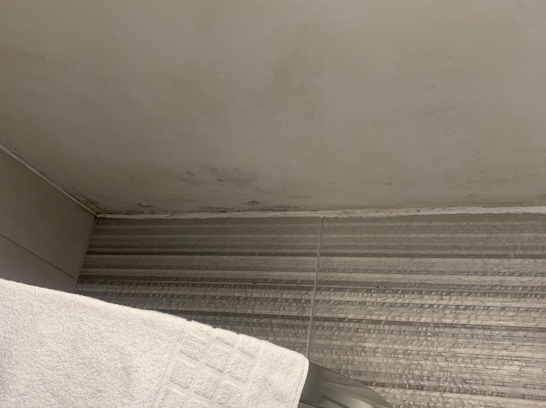 贝斯特韦斯特 福斯塔夫酒店主图