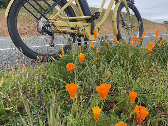 Meat Machine Cycles-星期五港湾必去景点