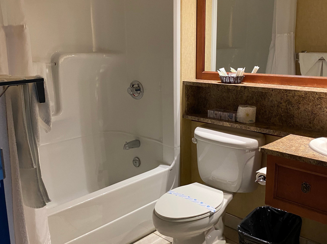 Hôtel L'oie Des Neiges主图