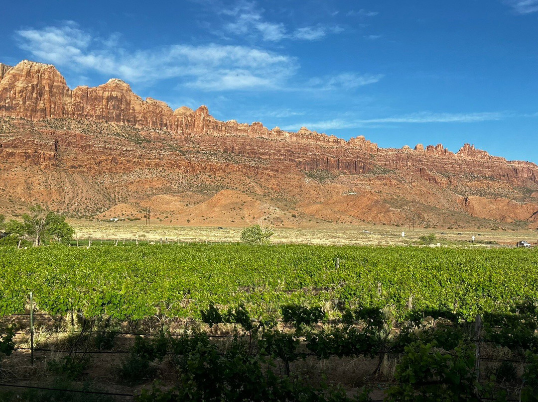Spanish Valley Vineyards and Winery-莫阿布必去景点