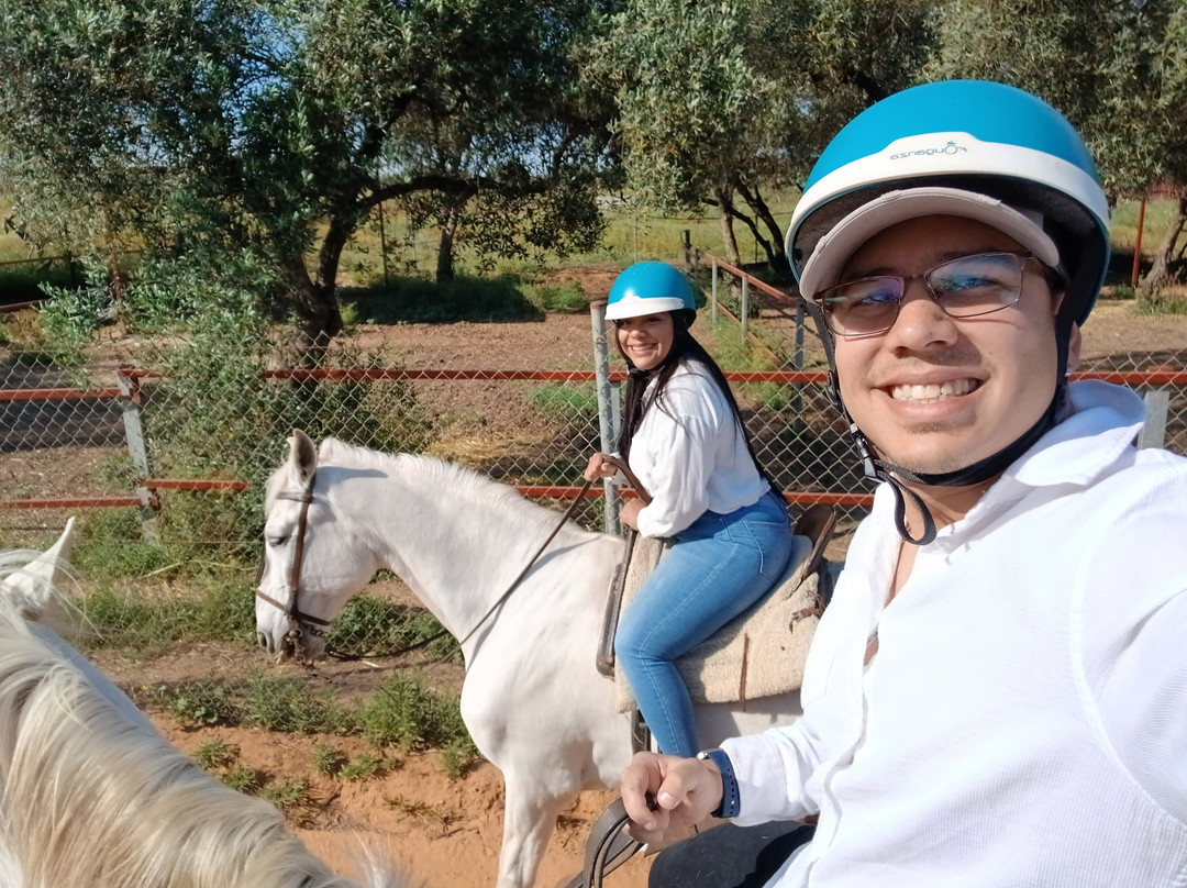 Centro Ecuestre Entrepinares-塞维利亚必去景点