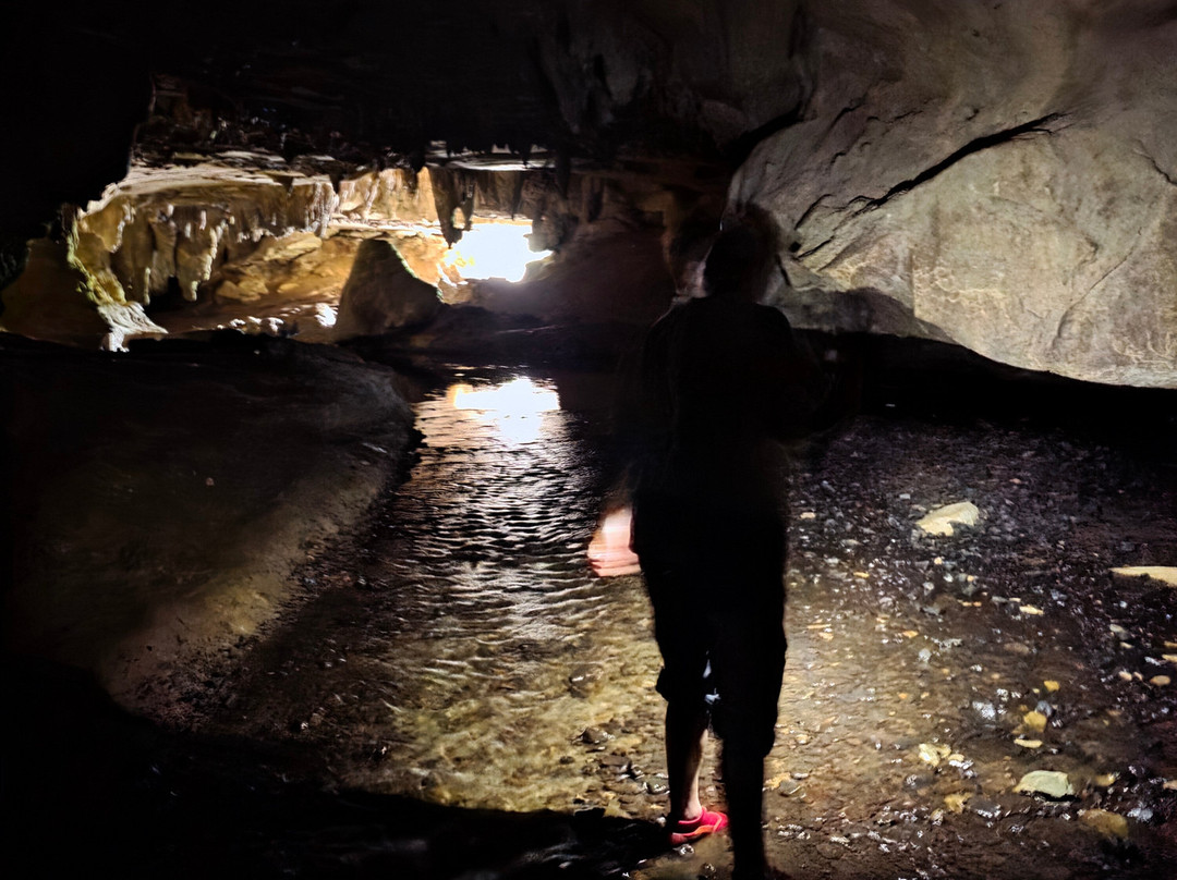 Waipu Caves Track景点图片