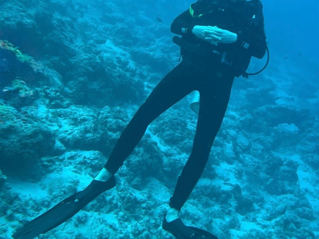 Eagle Ray Divers-Matemwe必去景点