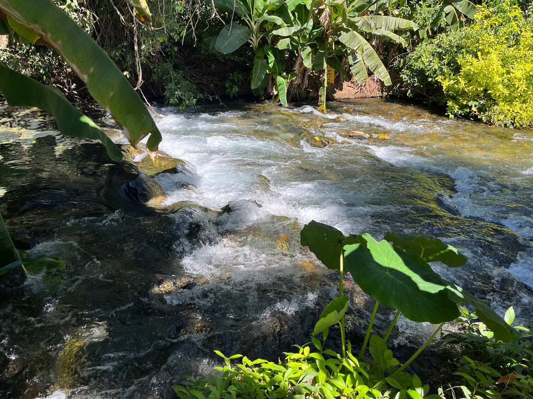 Rio Azuis-Aurora do Tocantins必去景点