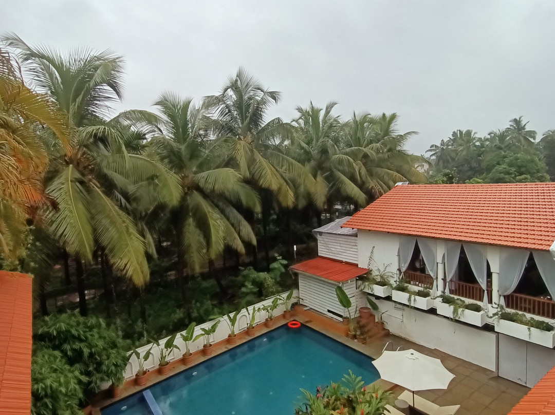 Bougainvillea Alibaug主图