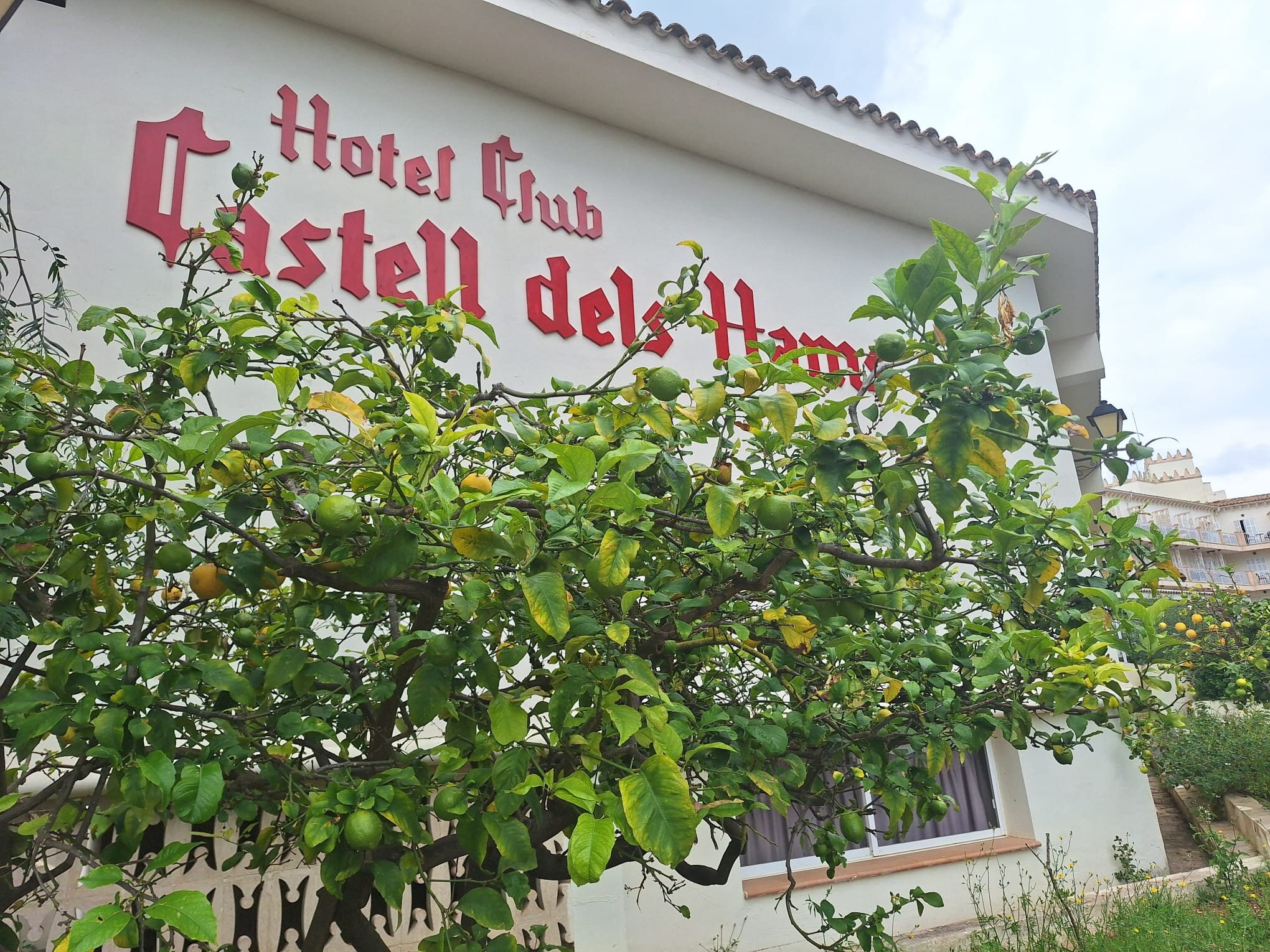 Hotel Castell Dels Hams-浴室