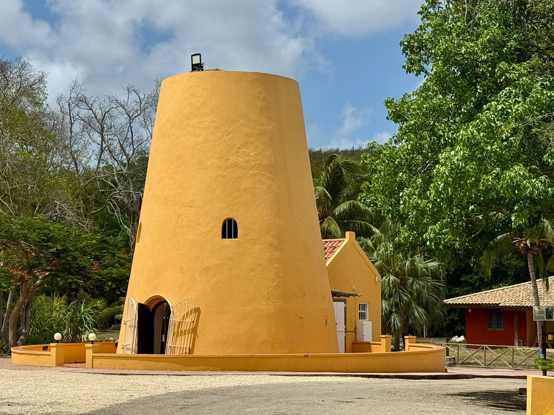 Hòfi Mango-威廉斯塔德必去景点