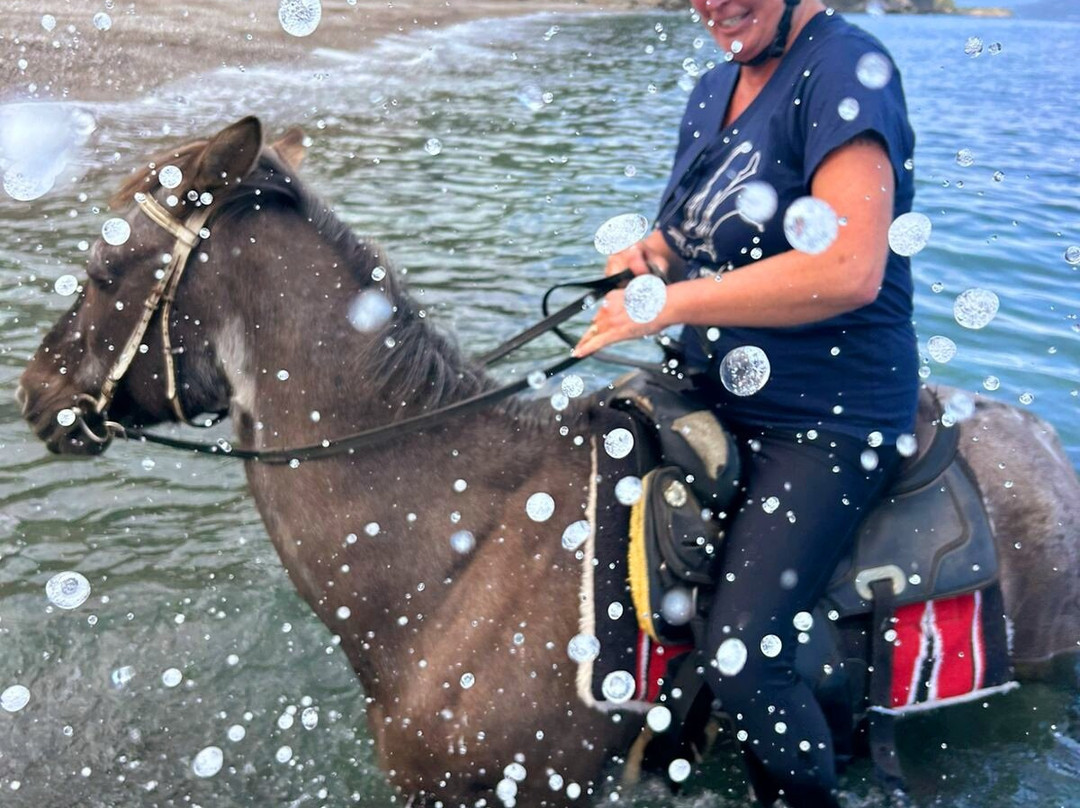Skiathos Riding Centre-斯亚索斯必去景点