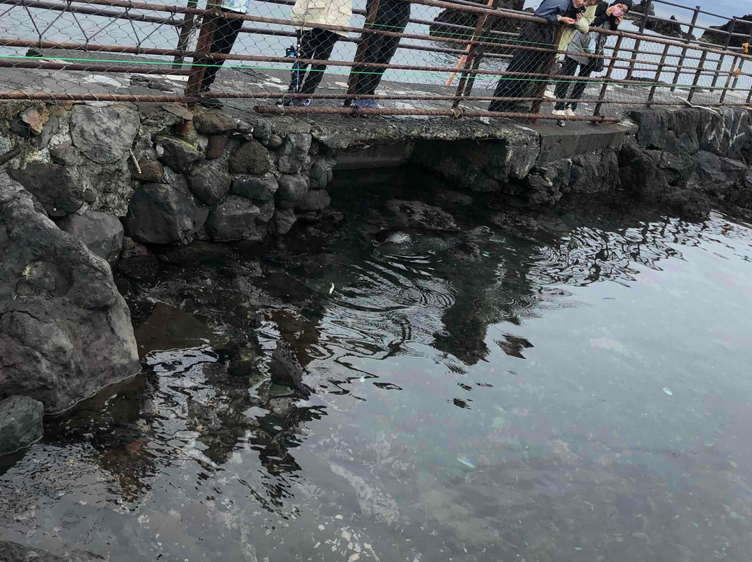 Semposhi Misaki Park-利尻町必去景点