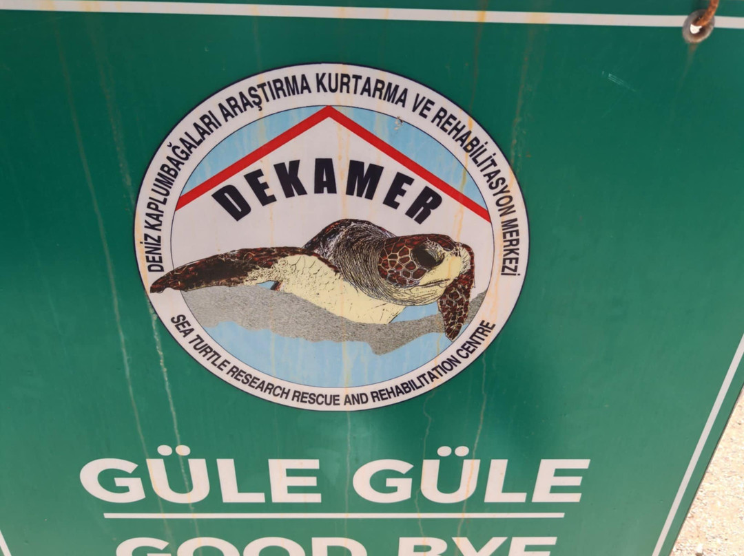 The Kaptan June Sea Turtle Conservation Foundation景点图片