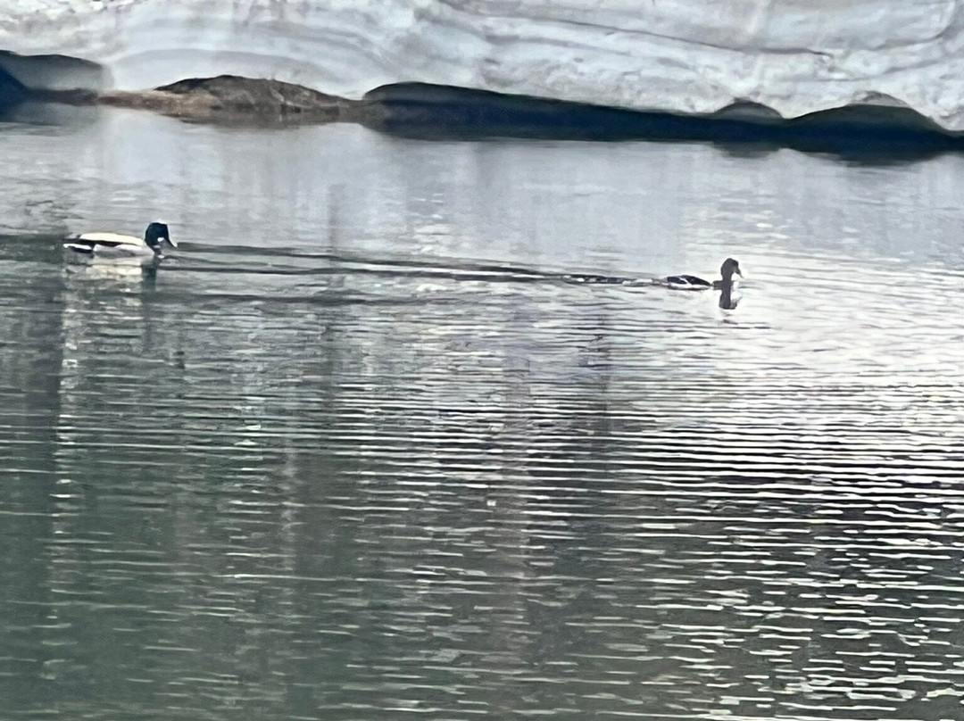 Downtown Estes Park-埃斯蒂斯公园必去景点