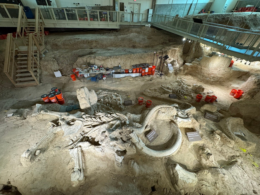 Waco Mammoth National Monument-韦科必去景点
