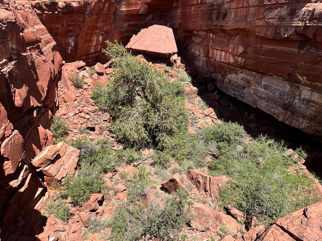 Soldier Pass Trail-塞多纳必去景点