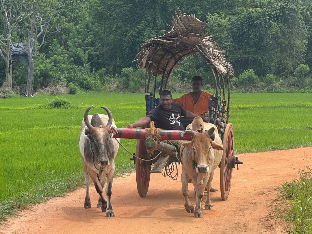 Sandun Village & Jeep Safari in Hiriwadunna-Hiriwadunna必去景点