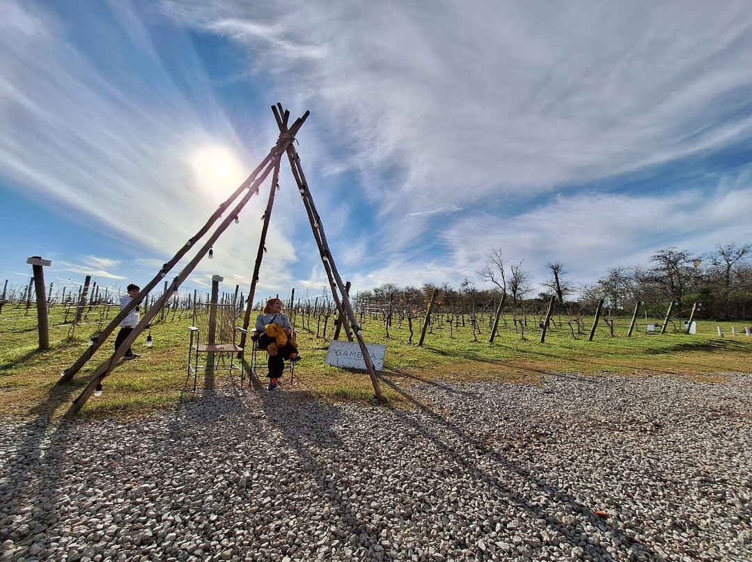 Gamboa - Viñas & Bodega-Campana必去景点