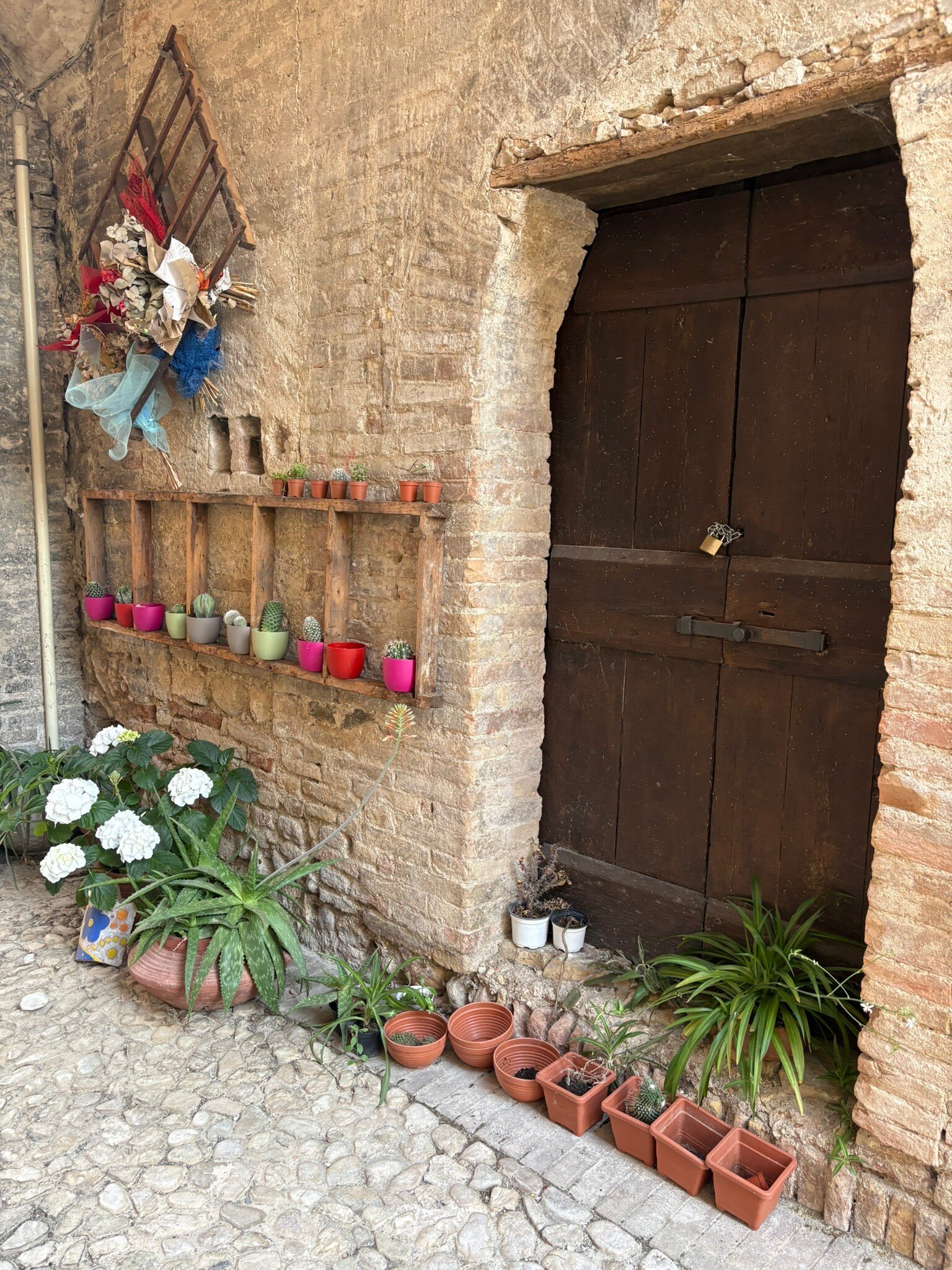 Torre della Botonta-官方