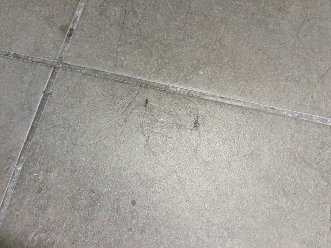 Days Inn by Wyndham Brampton主图