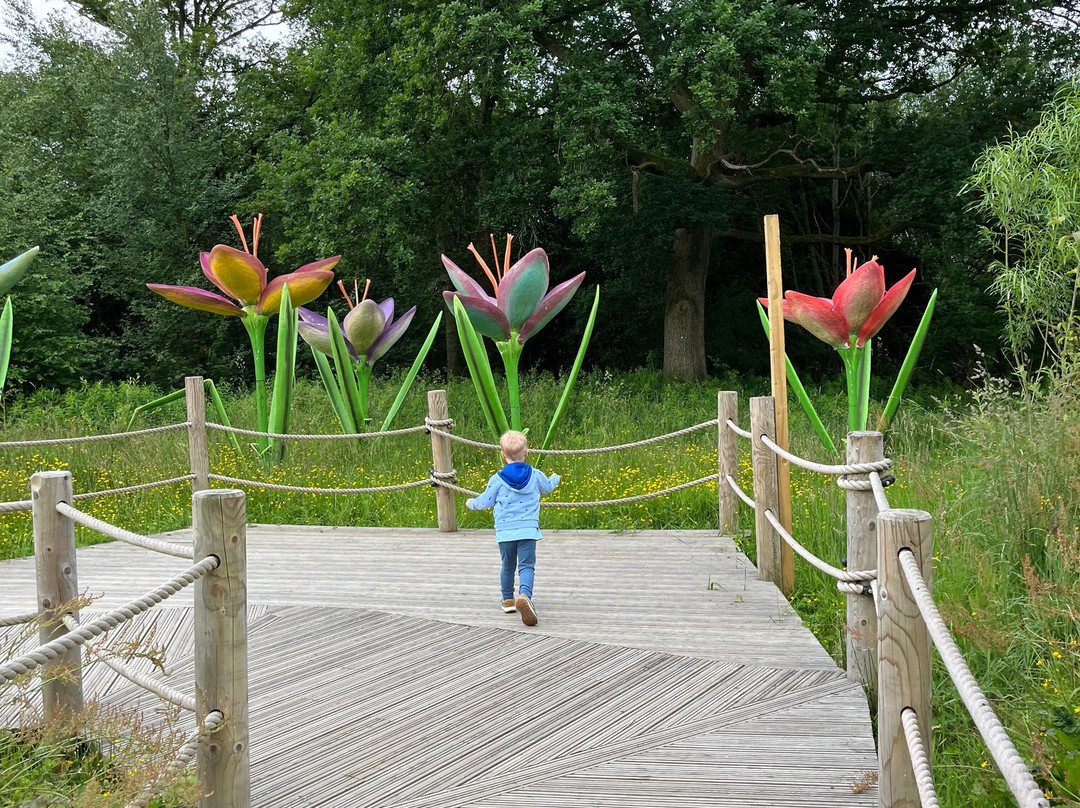 BeWILDerwood Cheshire景点图片