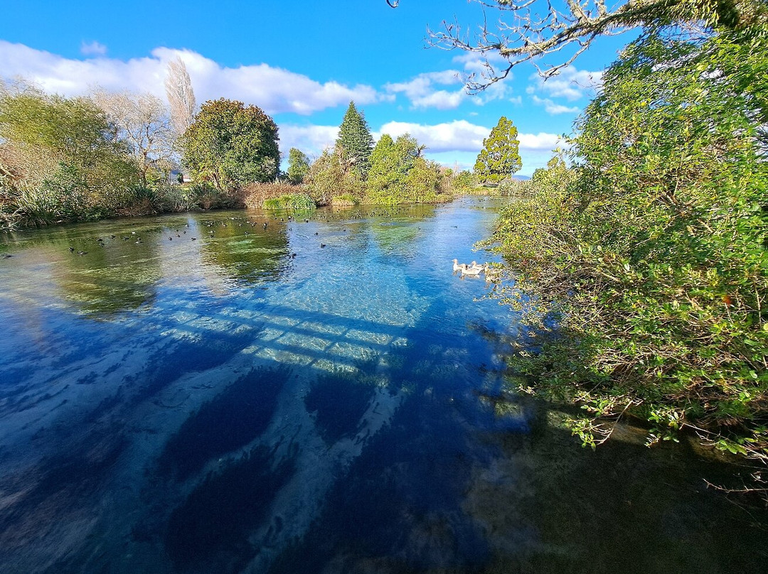 Hamurana Springs Nature Reserve-哈姆拉娜必去景点