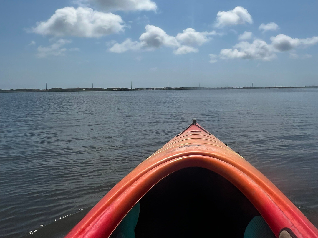 Coastal Kayak Touring Company景点图片