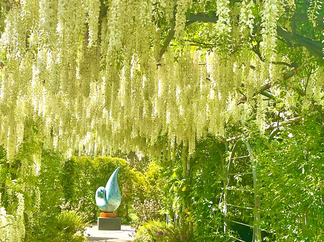 Sculpture By The Lakes景点图片