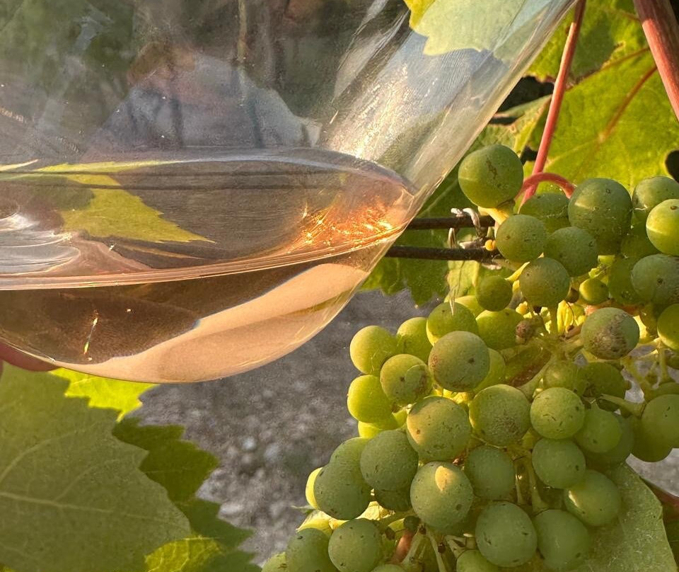 Putalj Wine景点图片