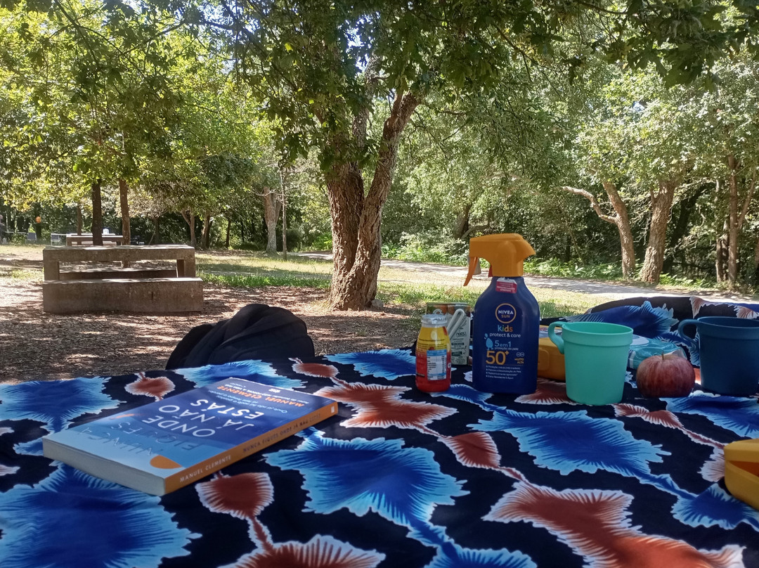 Parque de Avioso - S. Pedro-Maia必去景点