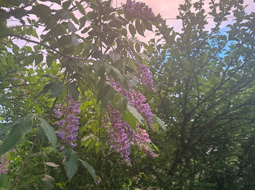 Kanawha Falls-Glen Ferris必去景点