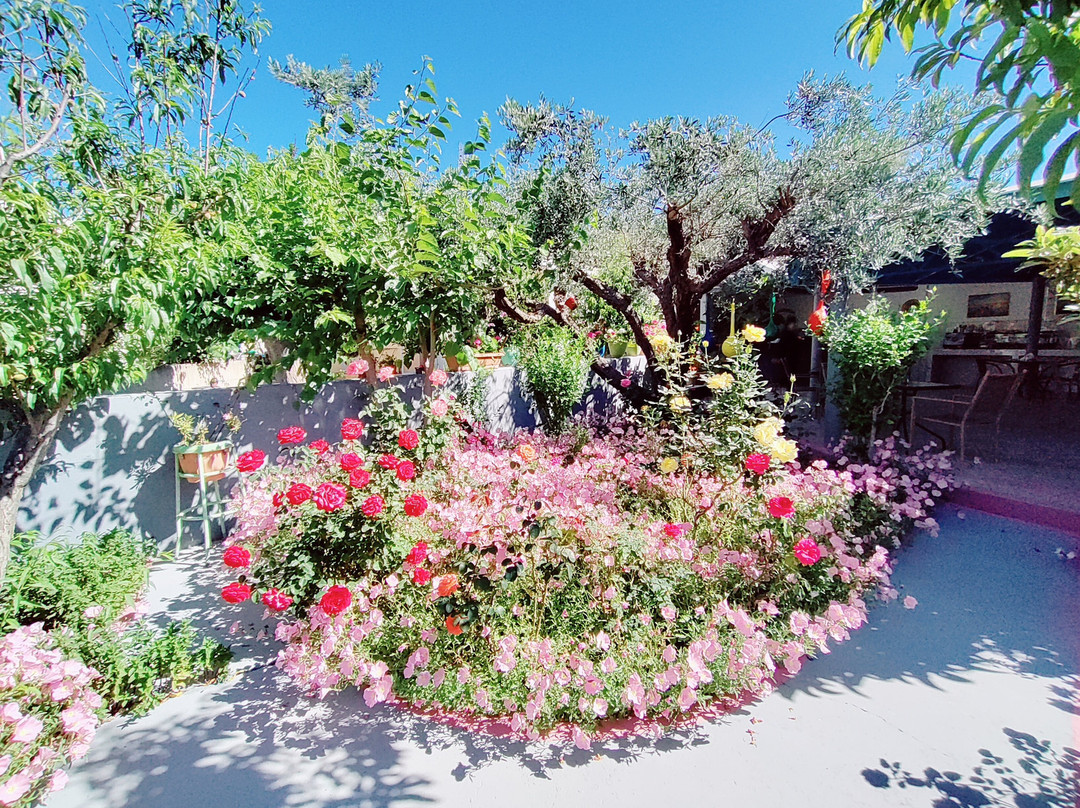 Hotel Dimitra Sun主图