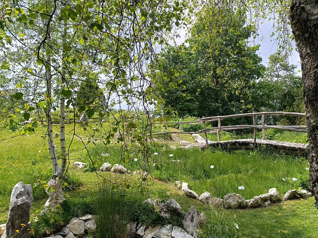 Giardino Botanico delle Alpi Orientali-Nevegal必去景点
