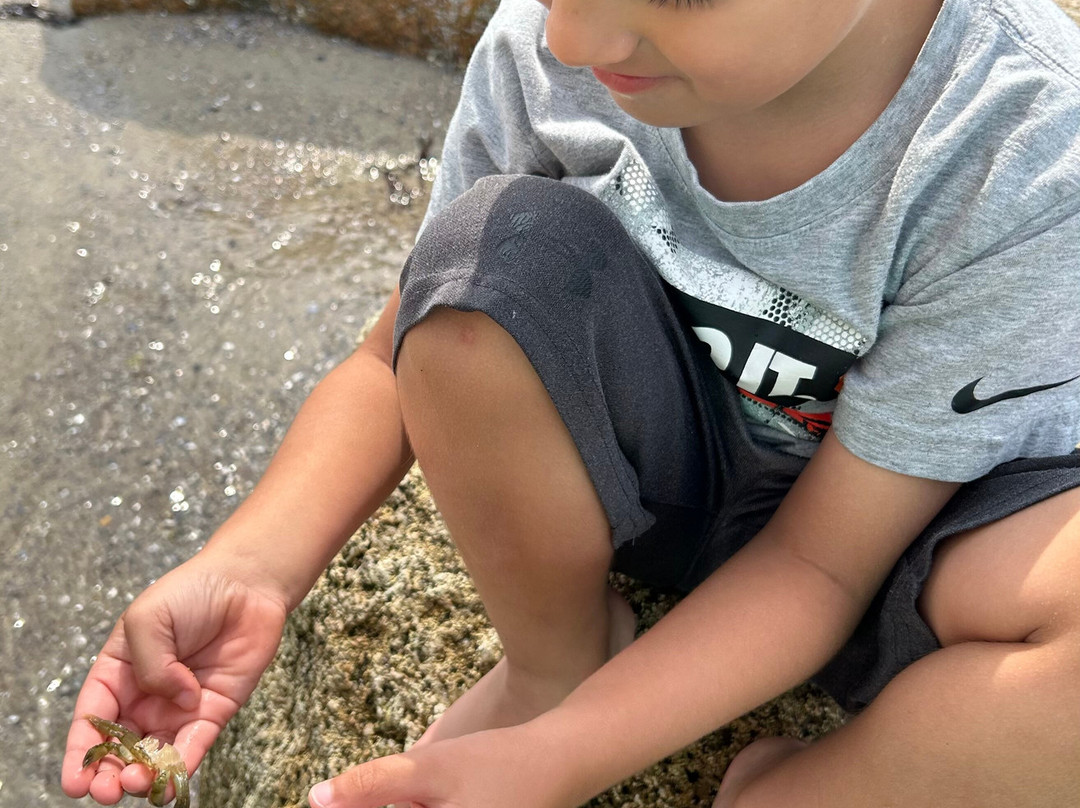 Sandwich Boardwalk-桑威奇必去景点