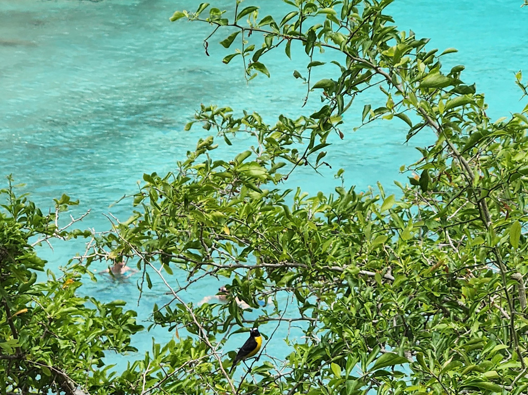 Playa Lagun-库拉索必去景点