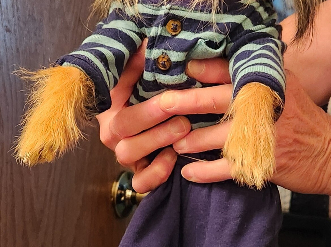 La Quinta Inn & Suites by Wyndham Muskogee主图