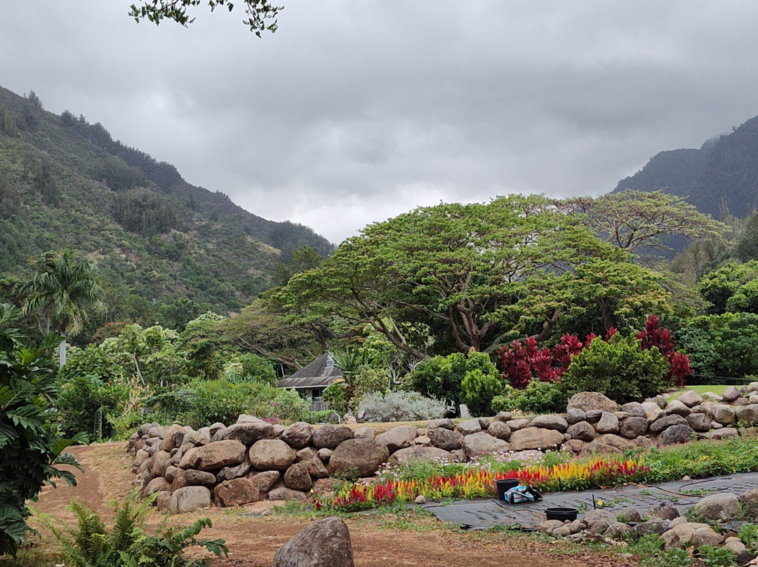 Iao Valley Inn主图
