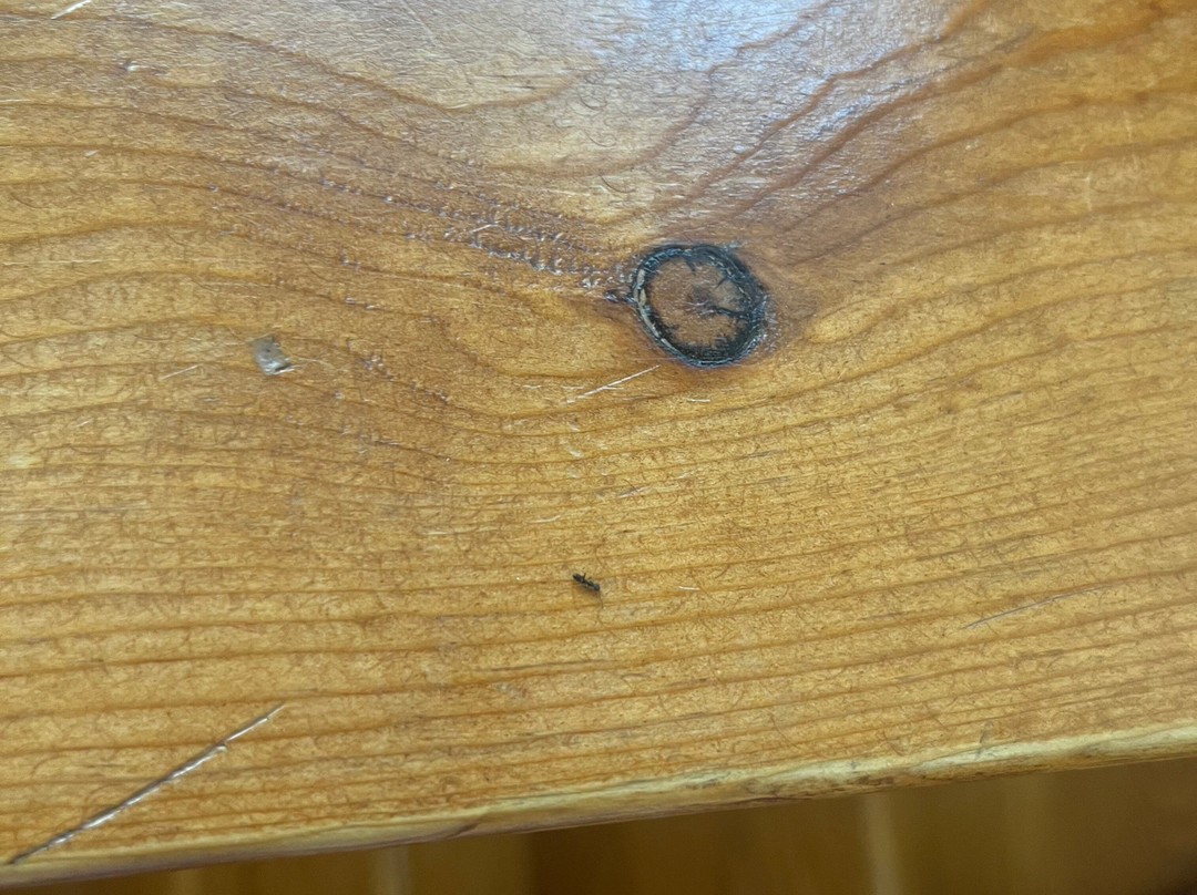 Indiana Beach Lodging主图