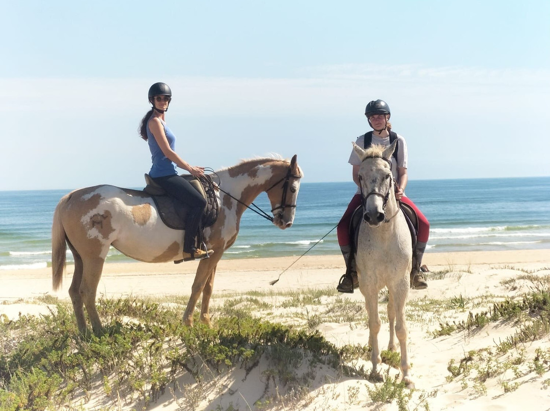 Tavira Equestrian Tourism-塔维拉必去景点
