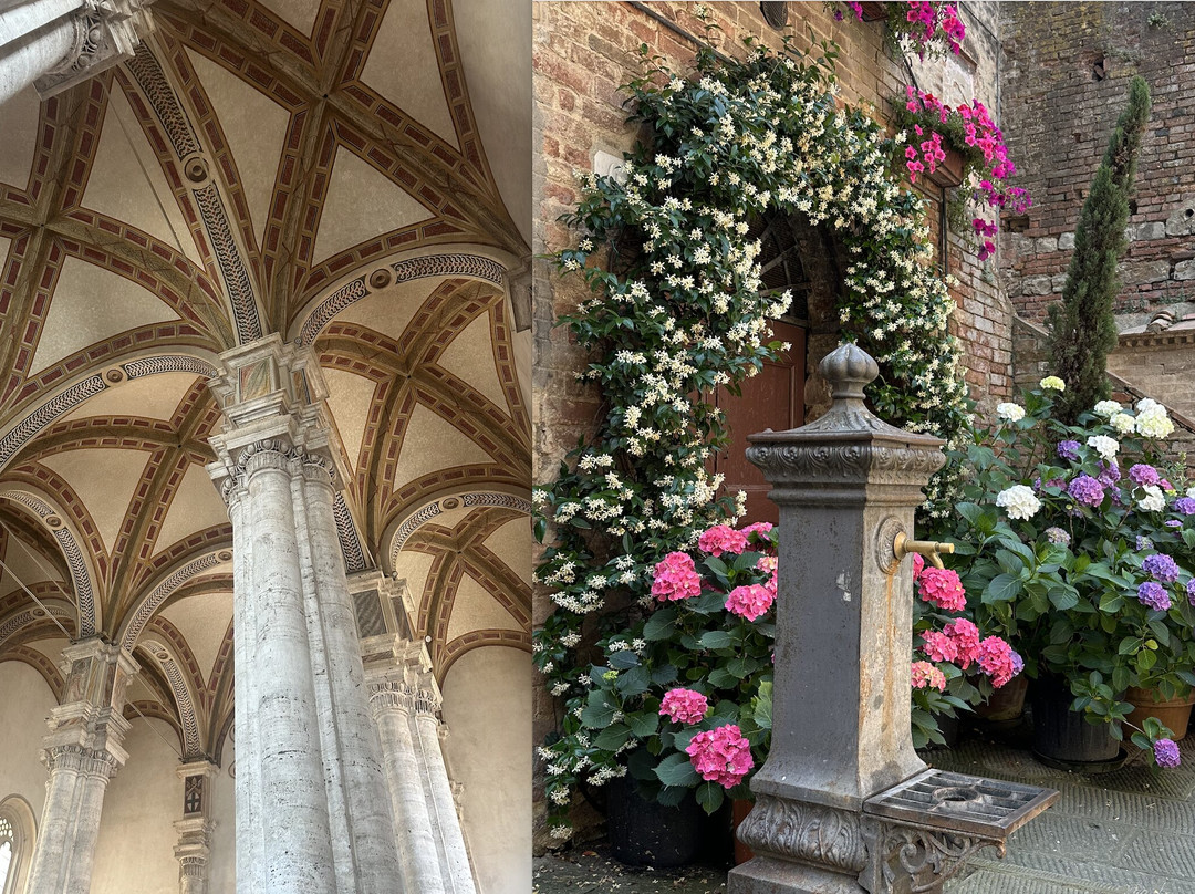 Tours By Roberto-阿夏诺必去景点