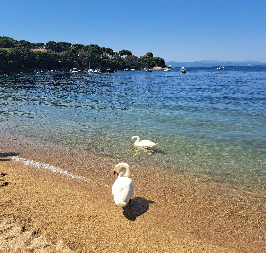 Kolios Beach-Kolios必去景点