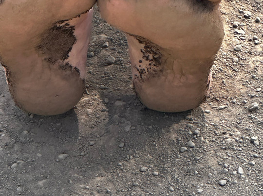 The Barefoot Trail - Flagstaff-弗拉格斯塔夫必去景点