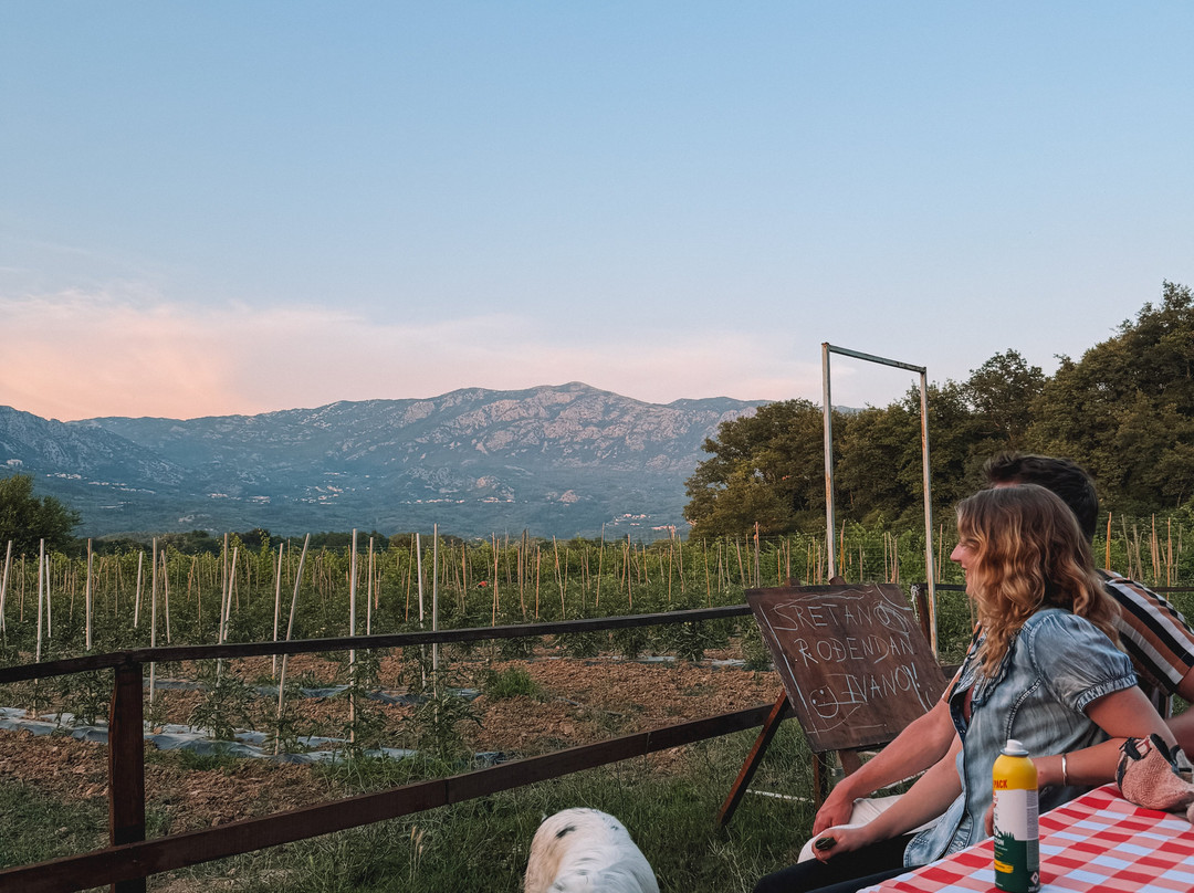 Ranch Dubrovnik-Gruda必去景点