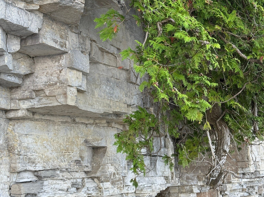 Door Bluff Headland’s County Park-Ellison Bay必去景点