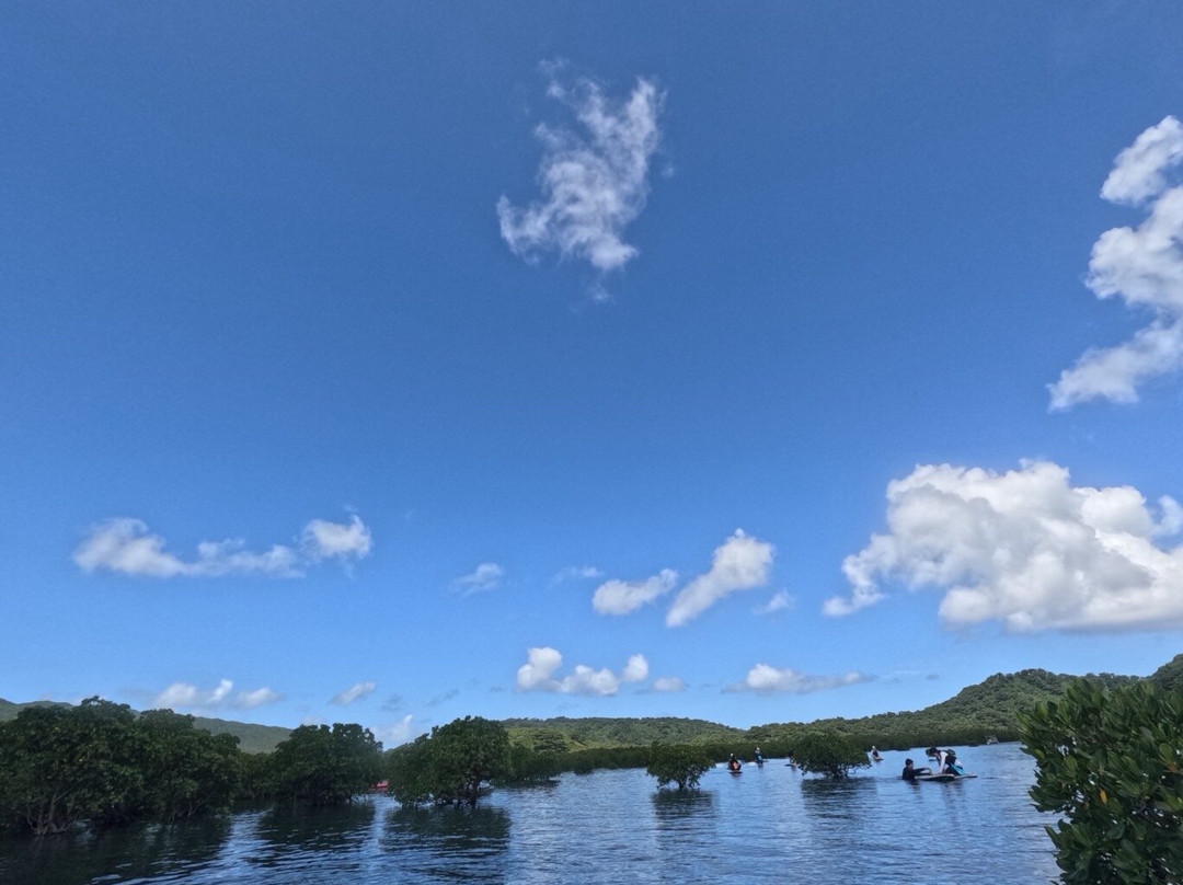 IRIOMOTE ADVENTURE PiPi-竹富町西表岛必去景点