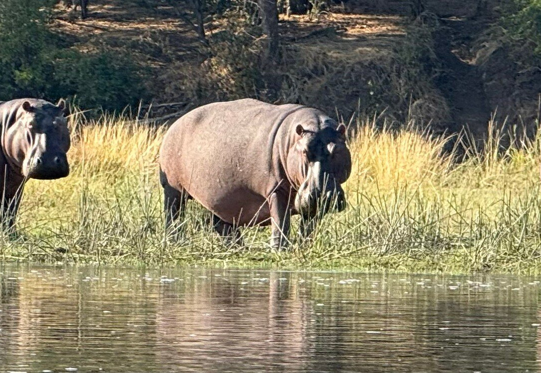 Mophy's Budget Safari-南卢安瓜国家公园必去景点