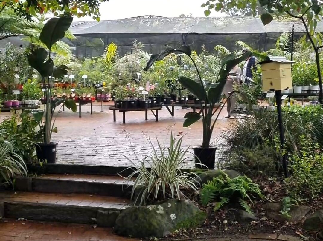 Fairhill Native Botanic Garden-Ninderry必去景点