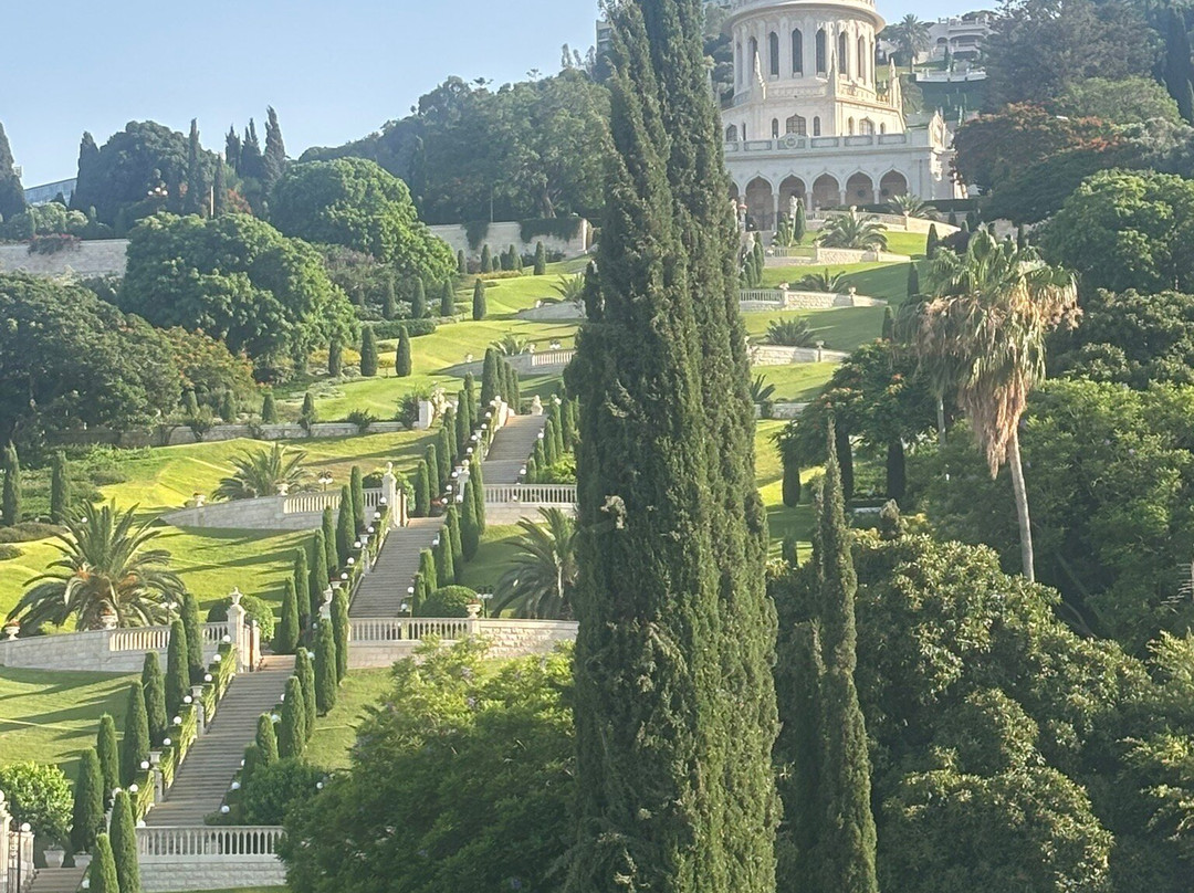 Botanica Haifa主图